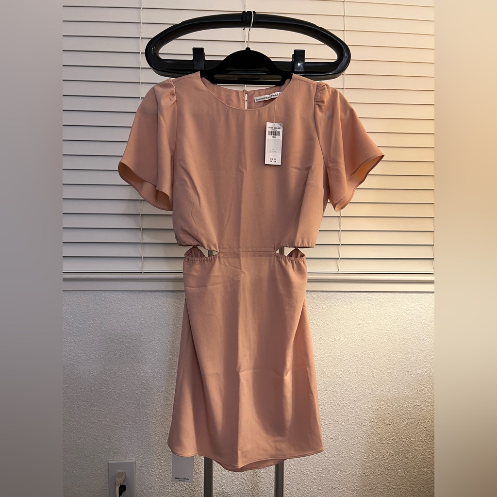 Nwt Abercrombie & Fitch Angel Sleeve Cut Out Dress Light Pink - Size Small